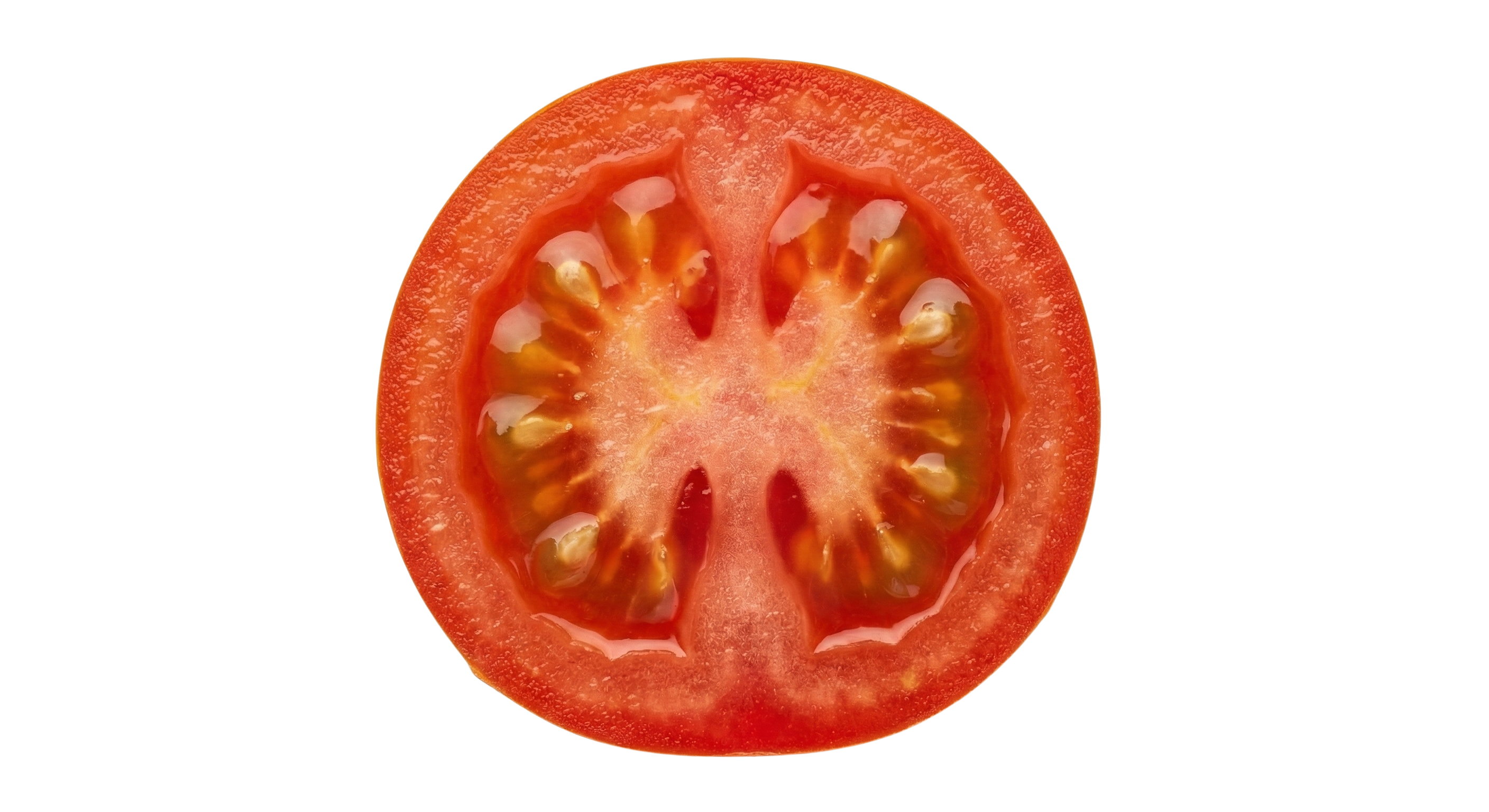 Tomato